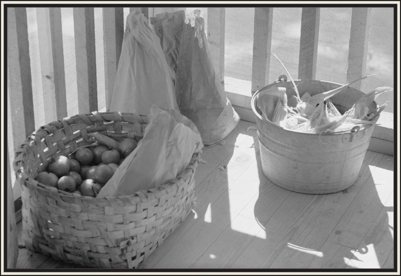 A basket filled with tomatoes and a bucket filled with corn