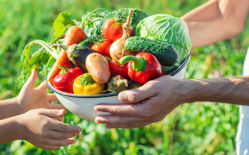 A bowl full of garden fresh veggies